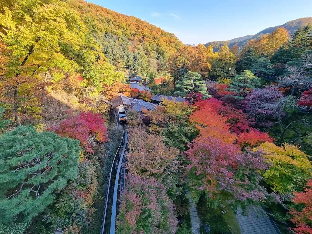 花潭植物园
