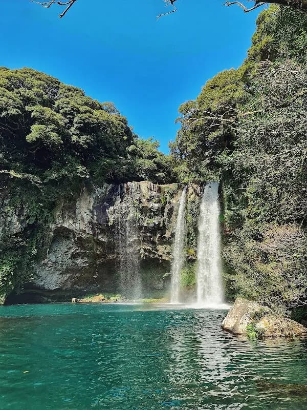 Jeju Nature & Food: 4-Day Deep Dive 8