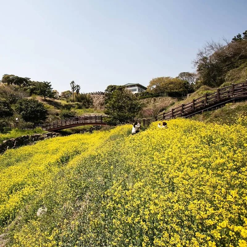 Jungmun Tourism Complex 2