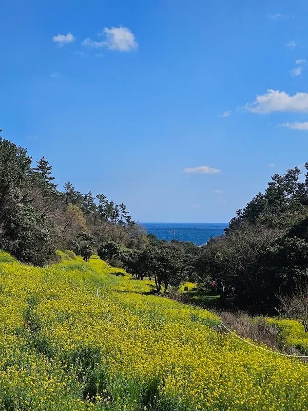 Jungmun Tourism Complex 3