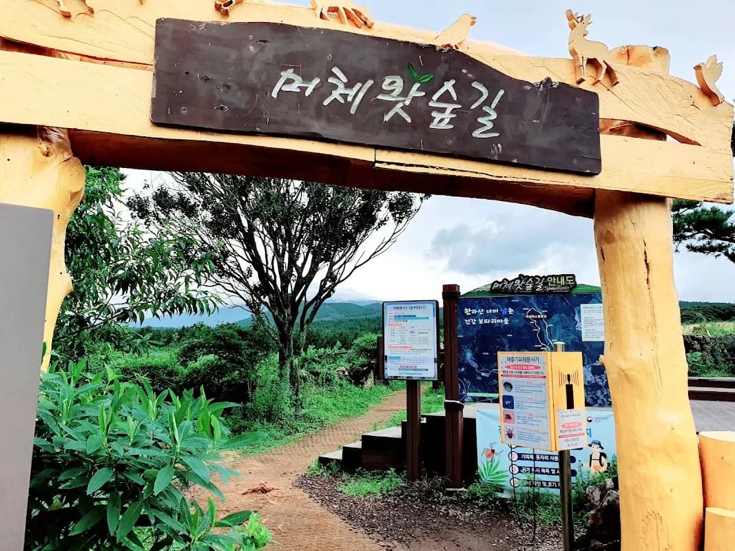 Jeju Nature & Food: 4-Day Deep Dive 6