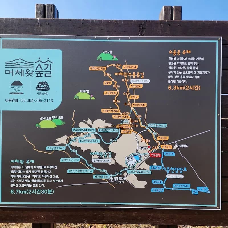 Meochewat Forest Trail 2