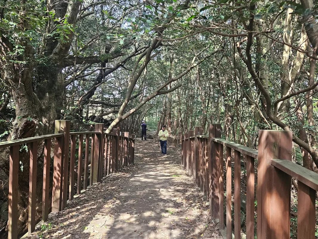 Meochewat Forest Trail 4