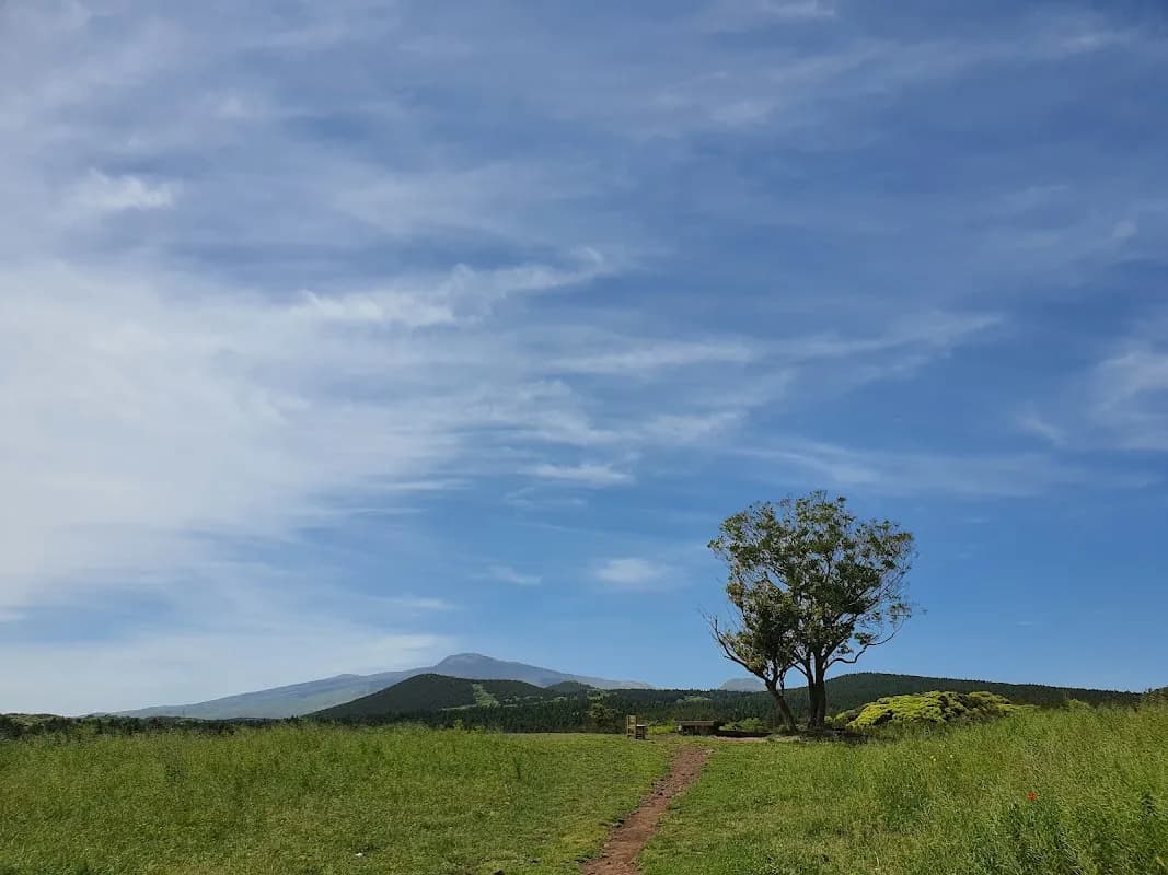 Meochewat Forest Trail 5