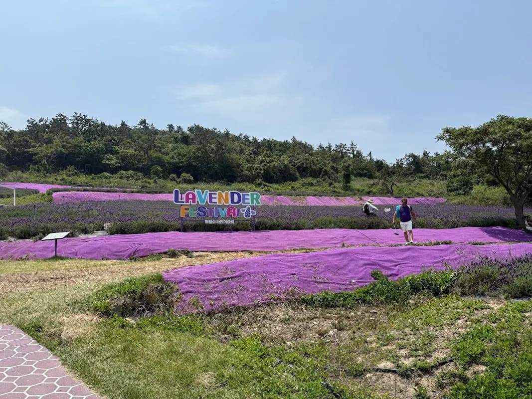 Purple Island (Banwol & Bakji) 4