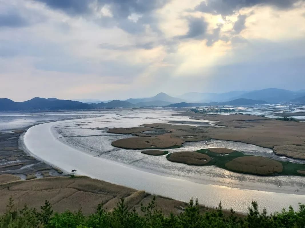 Suncheon Eco & Temple Healing 2-Day Trip 3