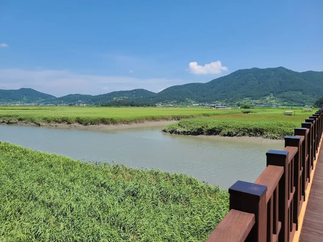 Suncheonman Bay Wetland 3