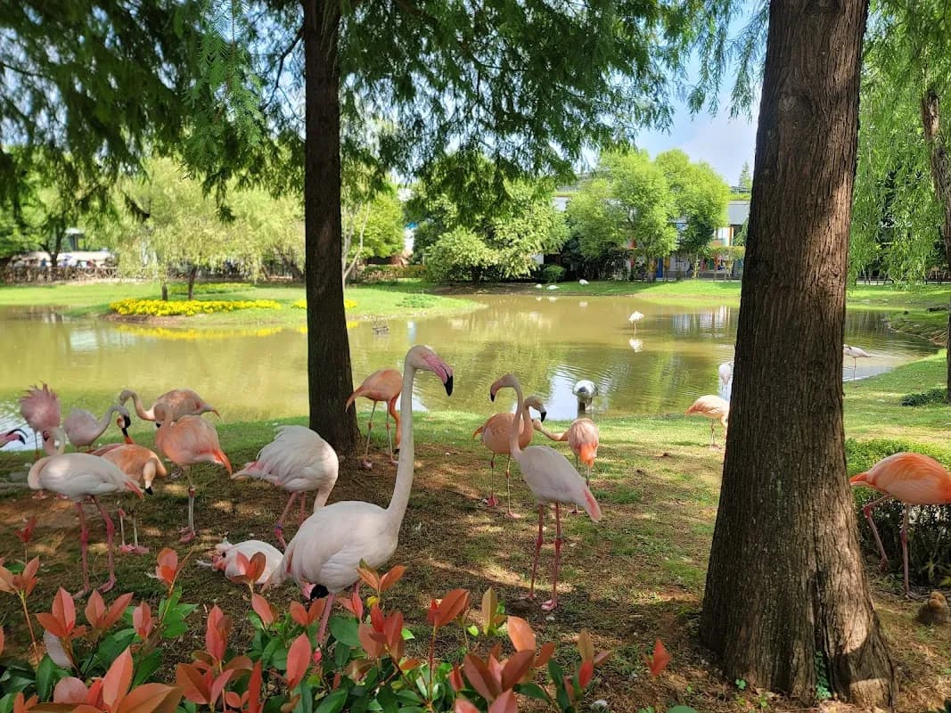 Suncheonman National Garden 3