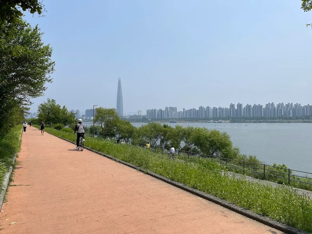 Ttukseom Hangang Park 3