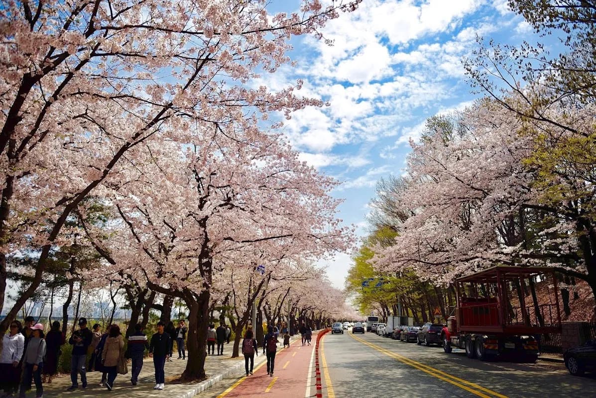 Yeouido Hangang Park 4