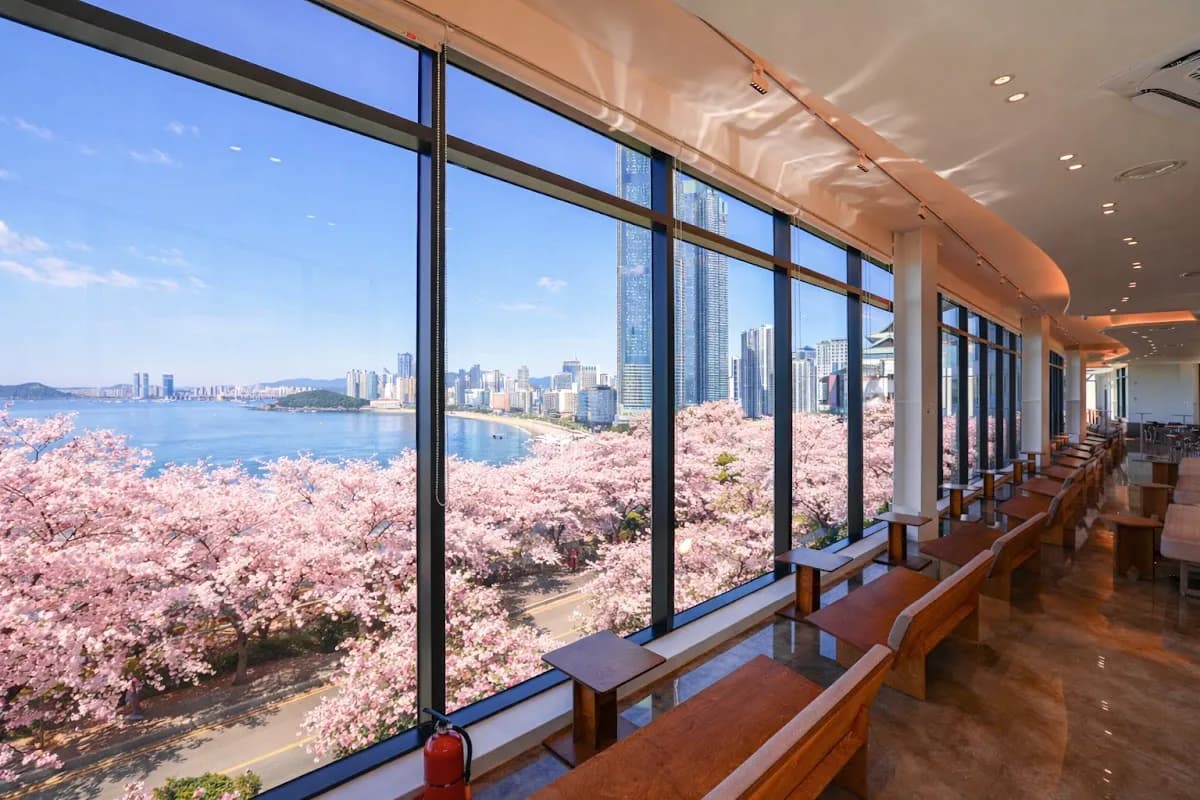 On The Hill Cafe Haeundae 4