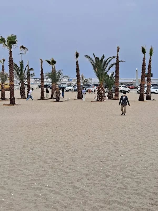 Anmok Coffee Street 4