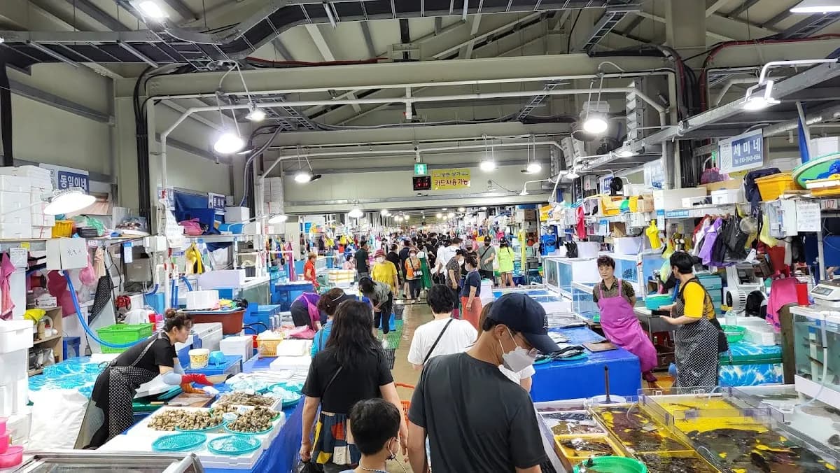 Jumunjin Fish Market 3